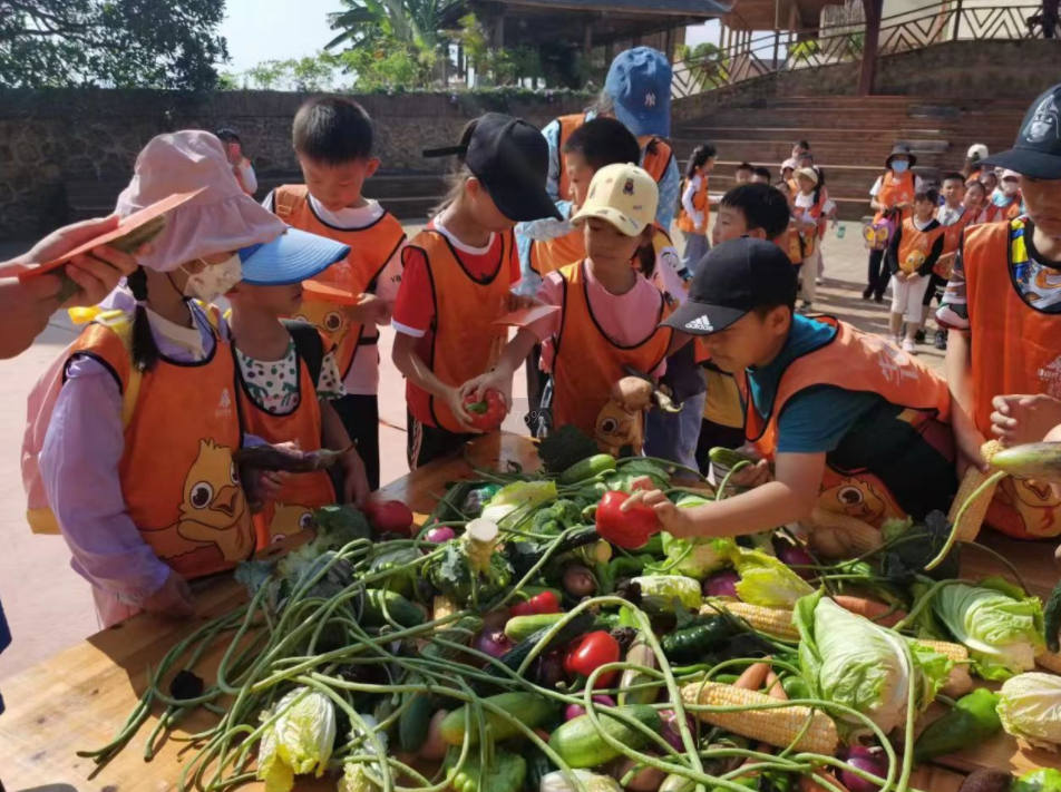晋级托管学堂：别再靠奖励催孩子！让他 “靠自己赢一次”，自驱力才会从心底发芽